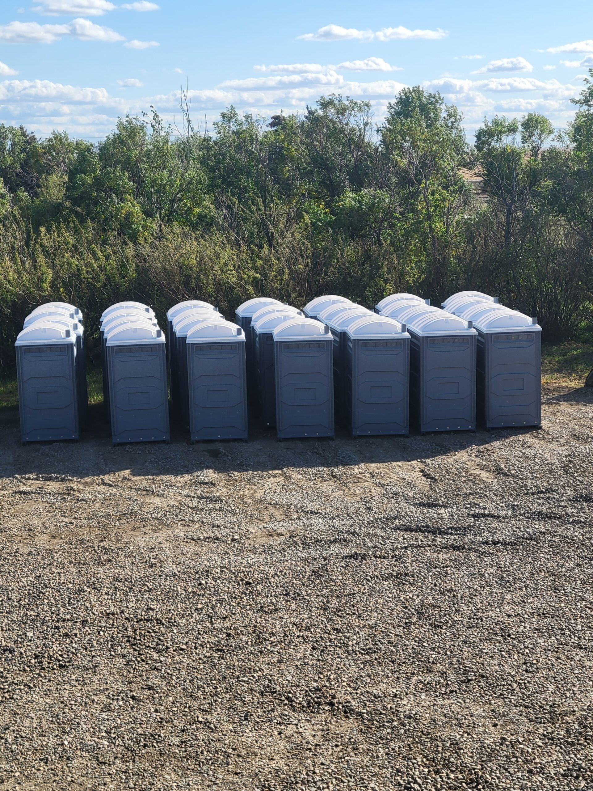 Royal flush portapotty